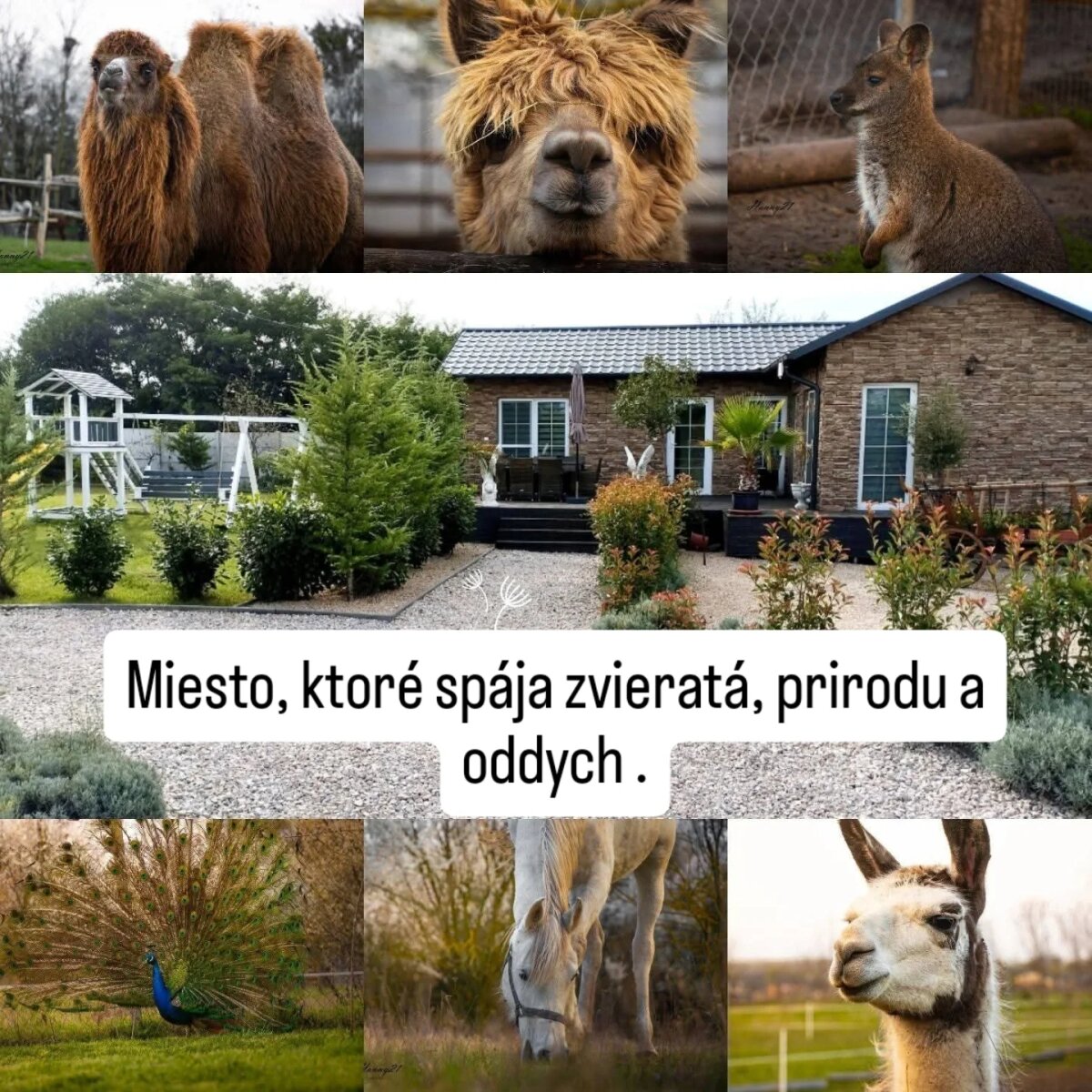 Súkromný ranč so zvieratami